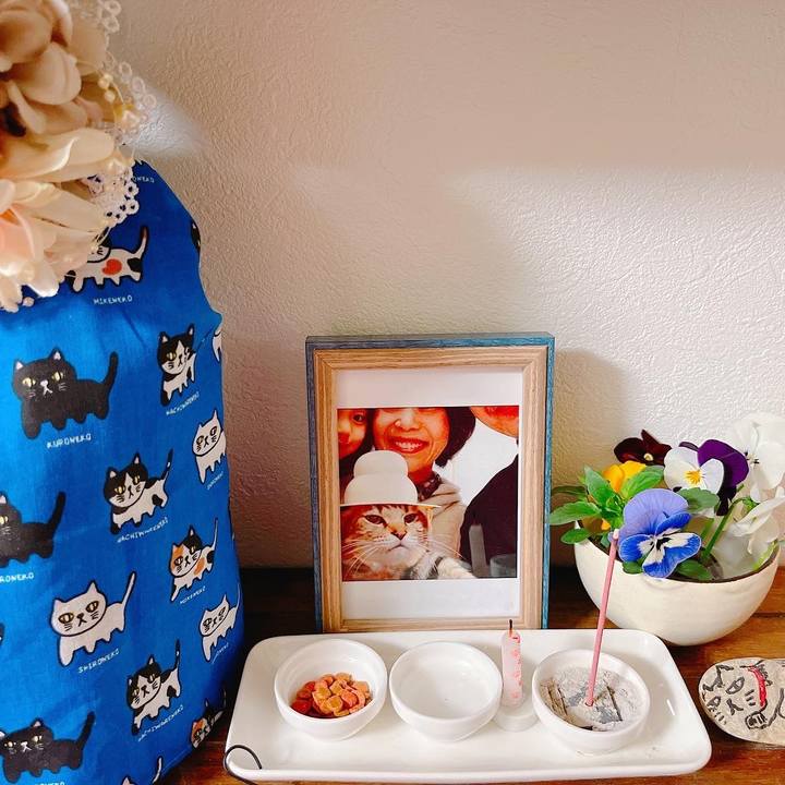 E41167b4 bb26 4dec a57c 3a6f4e0b6be4 1648549486212