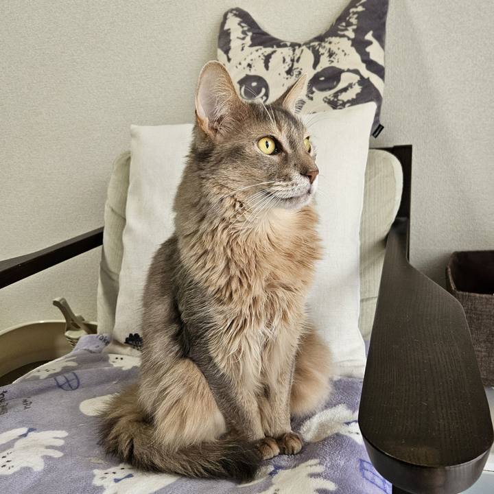 E4119f1b 4960 4f26 8322 416aa332323f 1712371051424