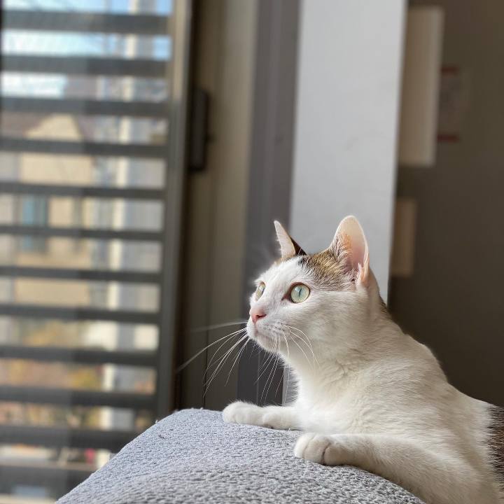 E411a749 5fba 49d4 b860 8f8e1151d026 1582015903072