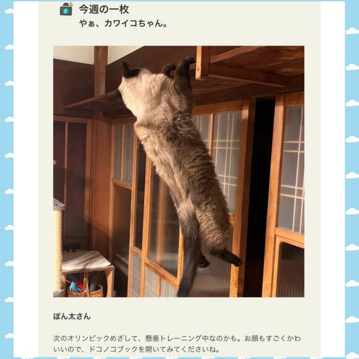 E411c291 73cc 4aca 9944 7312b49eda25 1677671641888