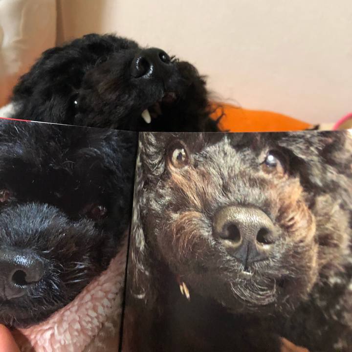 E41232de 7cfe 47ed bda6 93d66f94d67c 1543372818849