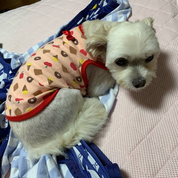 E4123d12 098e 49a7 85e5 db7a8f70c3bd 1598530050546