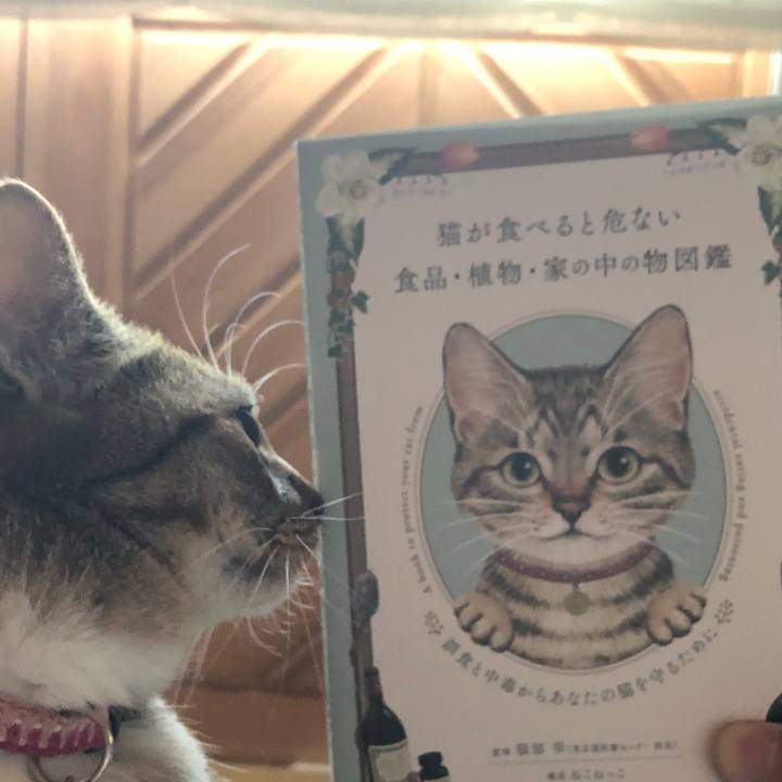 E41253ab 599e 46d2 9325 164d08fb1e32 1615898311191