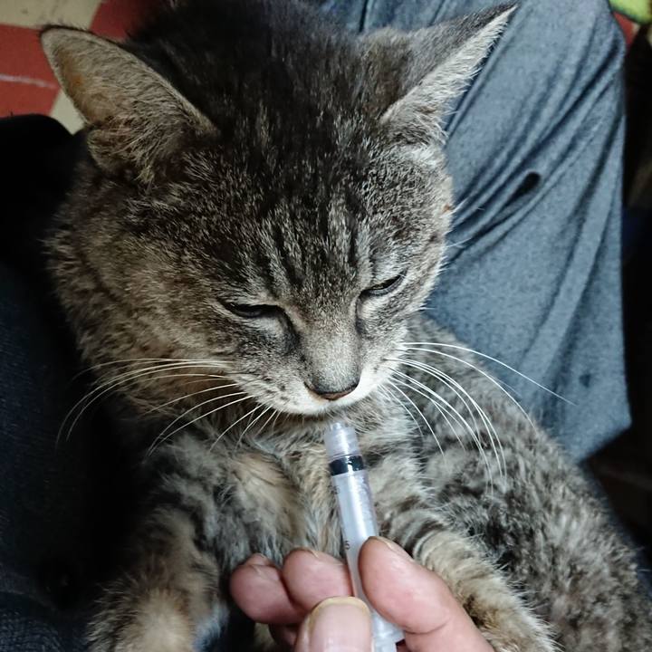 E412a448 c53f 45a5 a4e7 ad1fd4b87bf6 1579038651842