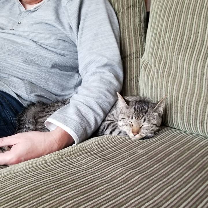 E412aa23 8b17 4287 b09d 5861d51ef33a 1679840489287