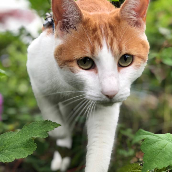 E412b350 47bf 477c be87 831b014dd63c 1563259186835