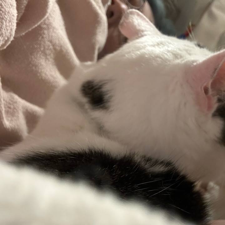 E412ddc0 9609 4fcb 80e2 37dbc5dba57c 1761666268997