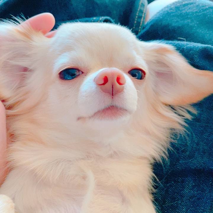 E412e1e8 89ae 4caa 80e2 34ed740756ab 1635053630115