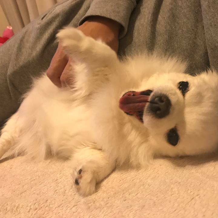 E413014f 4cec 49bf a4f4 06f6887486f5 1550325693444