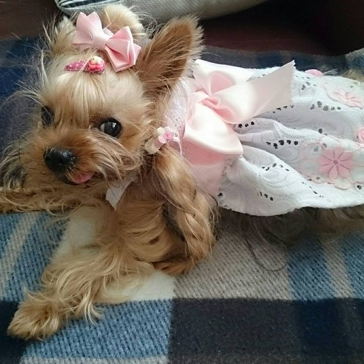 E4130f40 8a8e 4b1b ae9f 97c55fdf613e 1522398423316