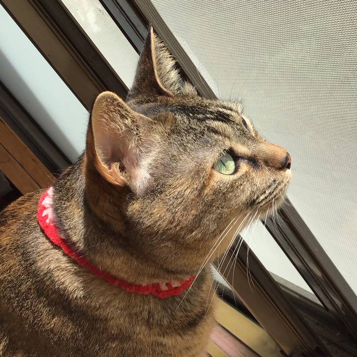 E4131a51 ce0e 4b28 b7af 1bfc175b7fc4 1681191450229