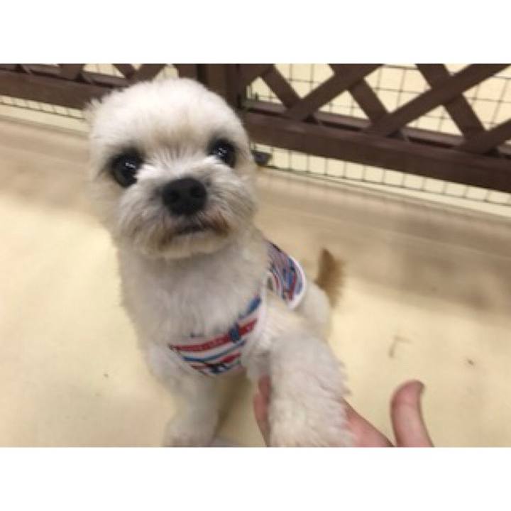 E41364f9 df97 4027 8d75 6c9a3ea4614a 1537266586302