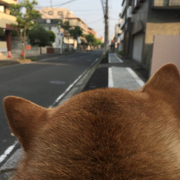 E4136cdb 0930 4a9f b757 229233feeb91 1566081849860