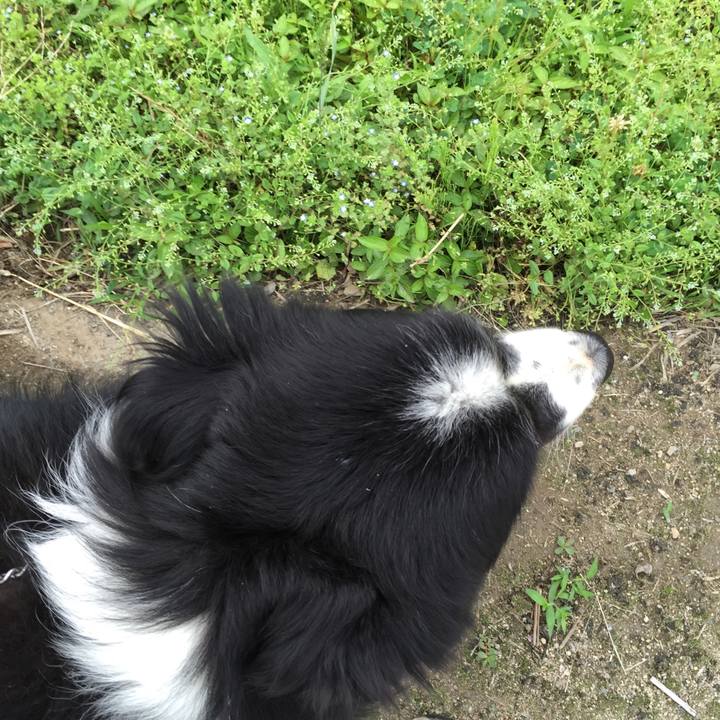 E4139143 2de7 467c 83c5 a4db1db00aea 1527635405092