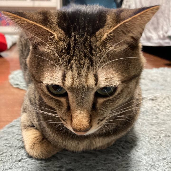 E413a6bc b1fc 4098 9003 2022e6ccfa95 1769554908713