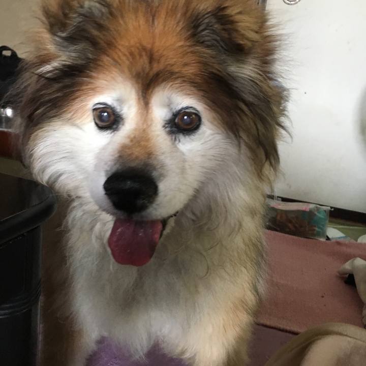 E413af18 29cd 46b8 a6f9 6a0e7c23f7d3 1617671749118