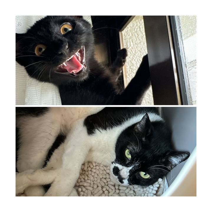 E413d629 6434 4e45 ad9c f7c527f2f537 1725153663700