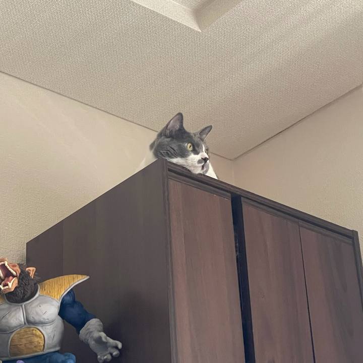 E41444fd 82d9 4fa2 8b6d 42fef85ee9b7 1633306929870