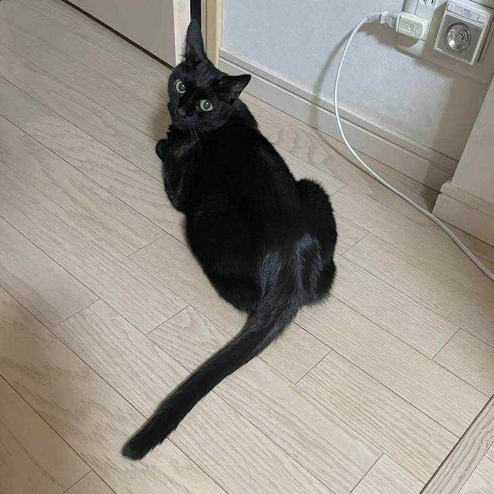 E41447ef 9950 46af 8fb3 5acf53f56e45 1726988943457