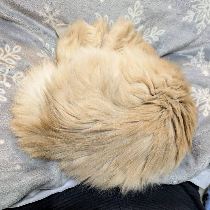 E4144955 caa8 4f9d b4c9 d11e2866ce14 1774151617347