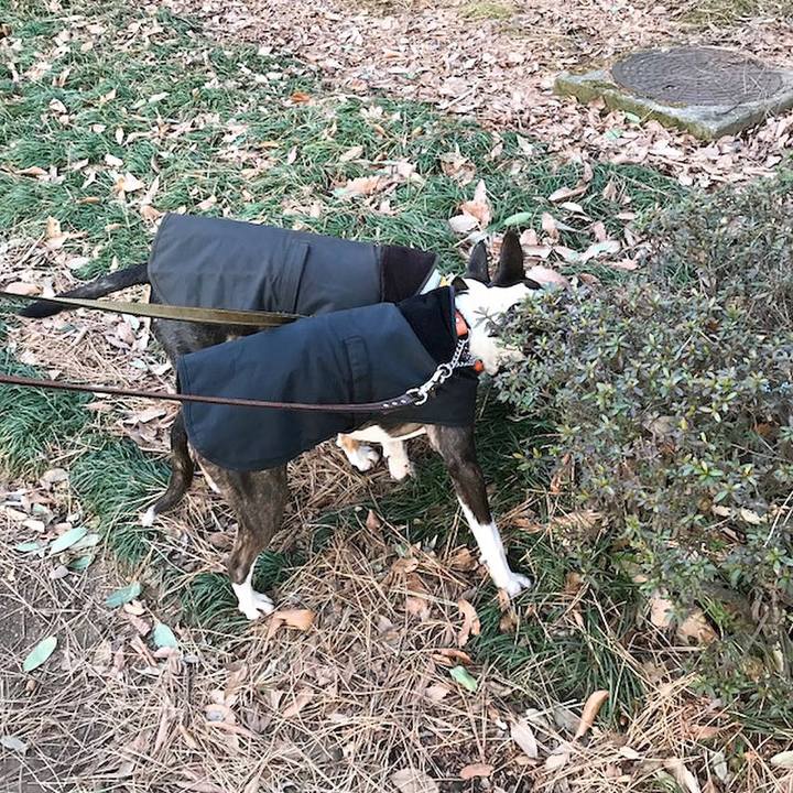 E4144dcb c6cb 49c6 a028 52c1df5e1f54 1517220150563