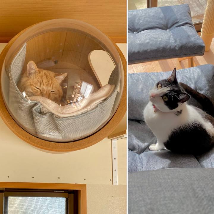 E4148240 444e 453f 8365 fb38e18061a9 1706418476943