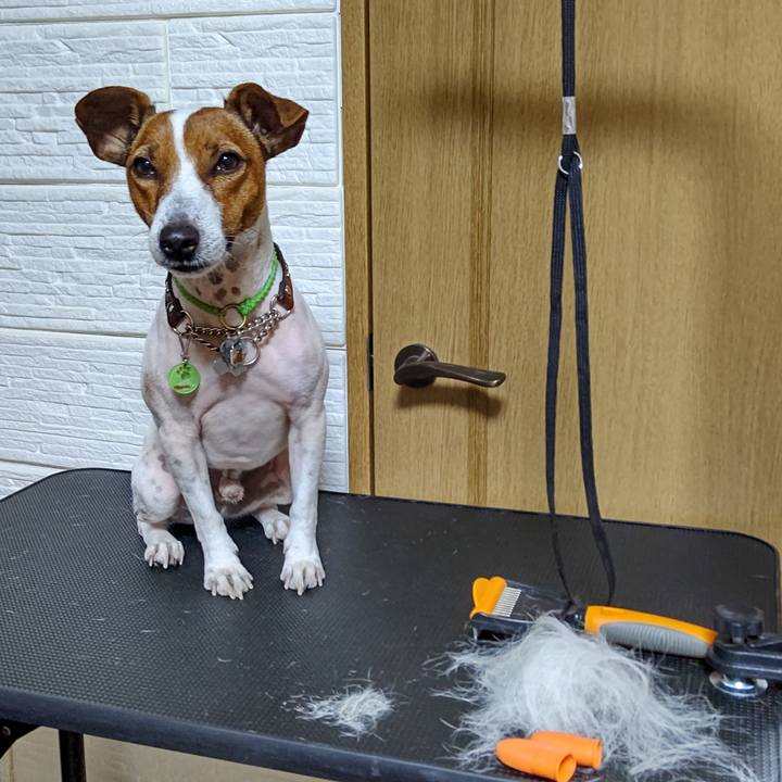 E414a75e d6b3 4fe6 b810 2f297d235bac 1638536514142