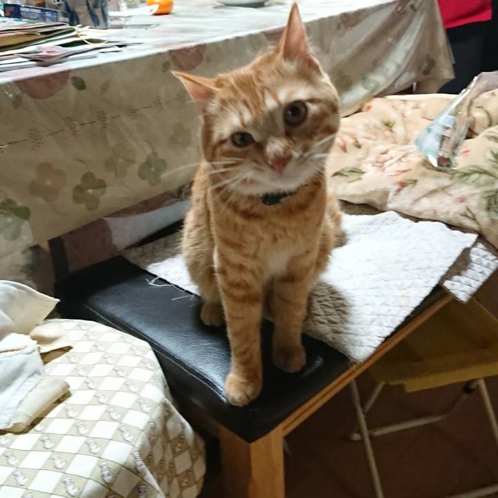 E414bceb a71c 4205 a44f cfeeef192daf 1646562078710