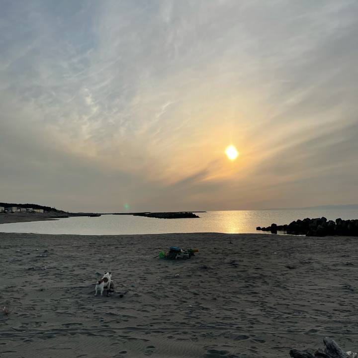 E414beea bc86 476e af04 925ba35c8c5f 1615283426752