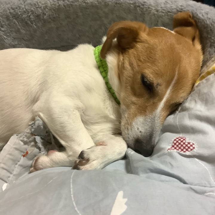 E414c771 0ac9 481d 9911 d80b5f39fd57 1620651734968