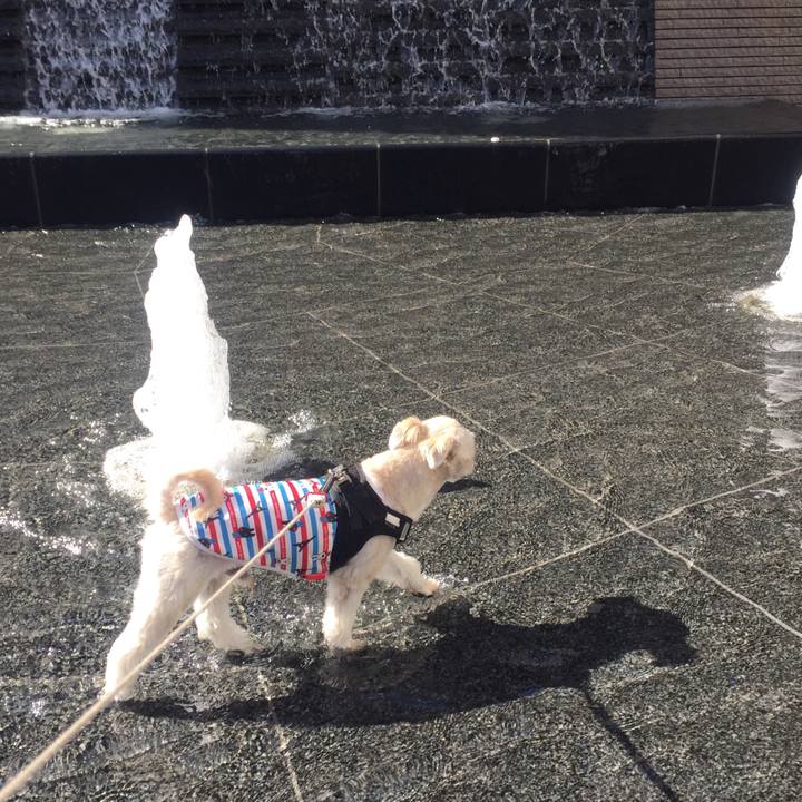 E414c975 57ce 43c9 be30 708bbd247b14 1540896464229