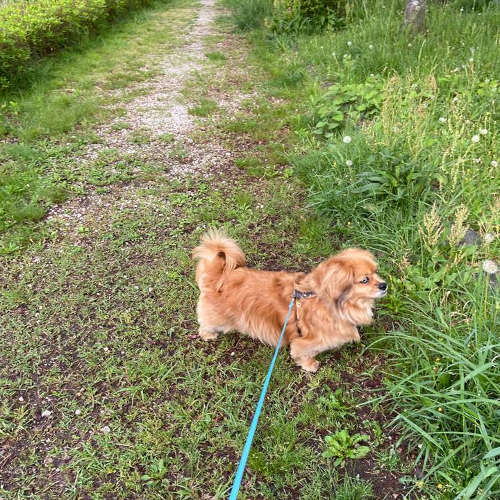 E414d07c a8f5 4070 92f1 aef4c9b64f38 1650664632397