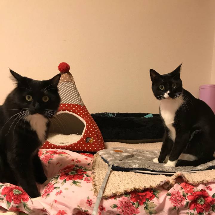 E414d28d 4921 4dfb 8ccc 2e24d034048c 1518737437956