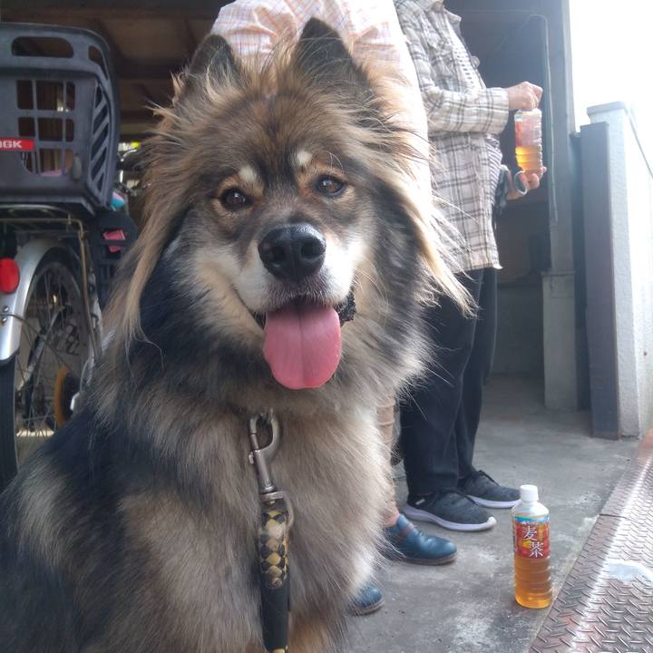 E414f62b 81a5 4800 9897 9e4098fc73e9 1601290854655