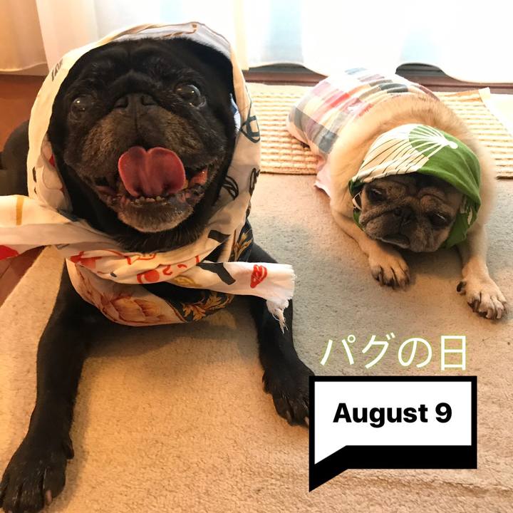 E4150e11 e44e 48bb b0bb 8408145e1888 1565301717966