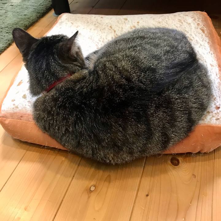 E415366b eb20 42d8 a6f2 cb72419f97e6 1621158493095