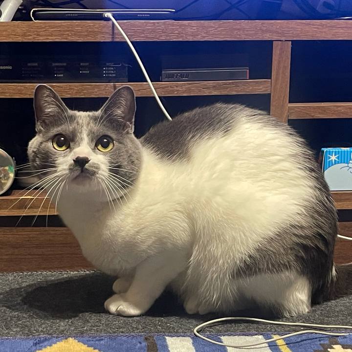 E41547ea dcfa 4f96 8fee dfa58fced612 1636898848312