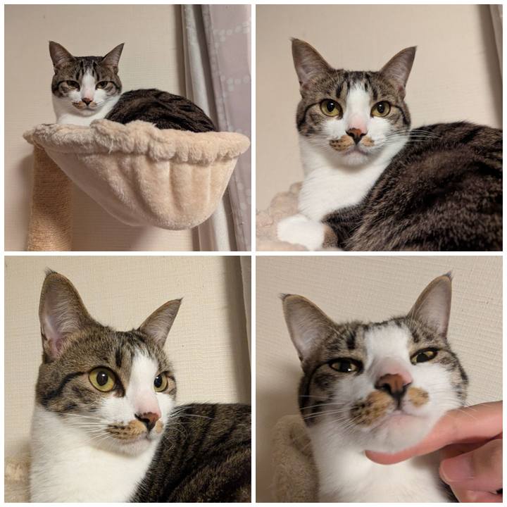 E4155391 fc11 444b be53 b578f17c4382 1772273236971