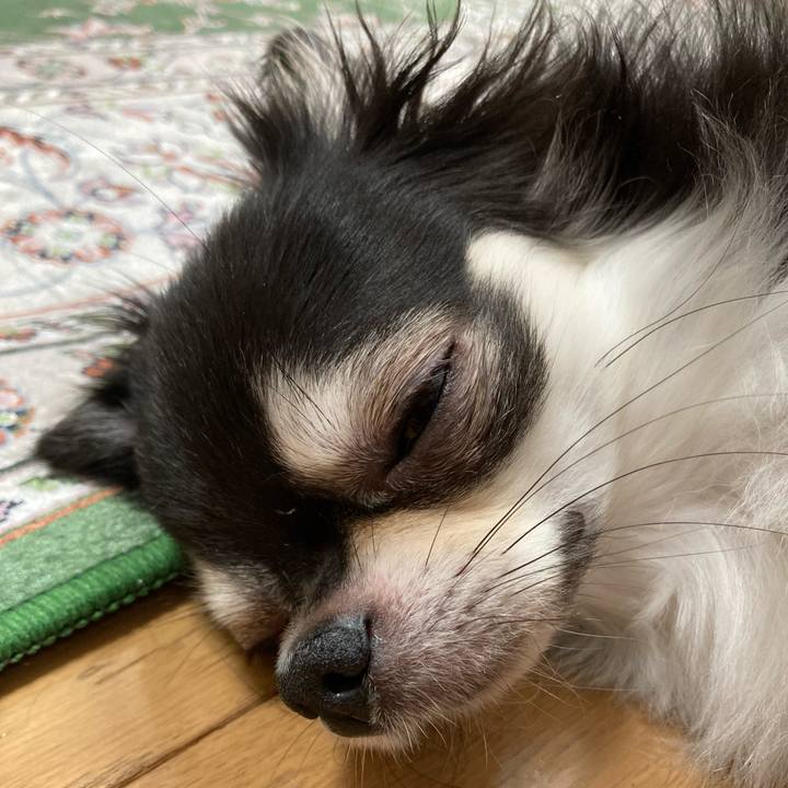 E415586d e190 4199 be43 307e52045aef 1662817414216