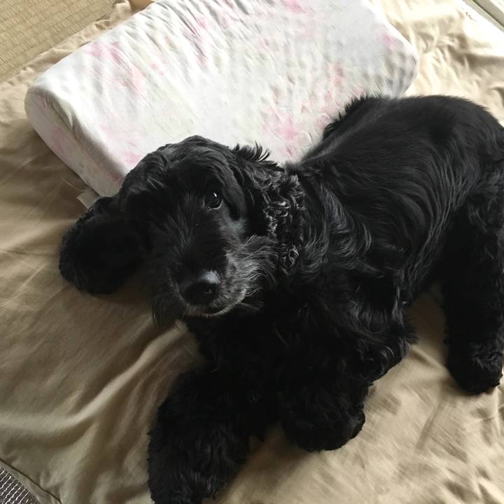 E415882c e3b1 4d75 a4d1 204b62e3f0c7 1541501098281