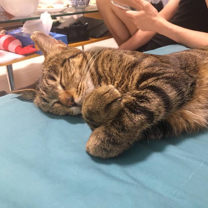 E4158fb2 b21f 4694 8ab4 05c233ed493d 1558183645001