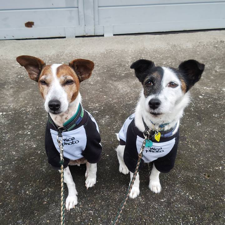 E415a0b3 691c 4e01 9041 3d159928da9b 1761000103918