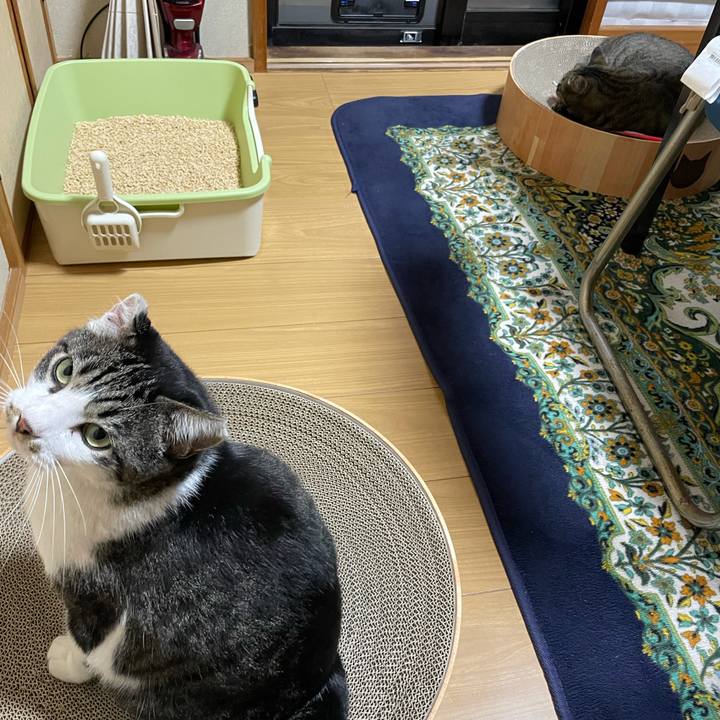 E415aa45 a181 439e bdea 969c1bb86f86 1634201449408