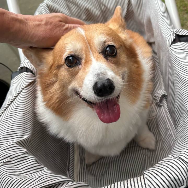 E415c1c3 c0a5 48a2 973e 61bbc6e34423 1746954293595