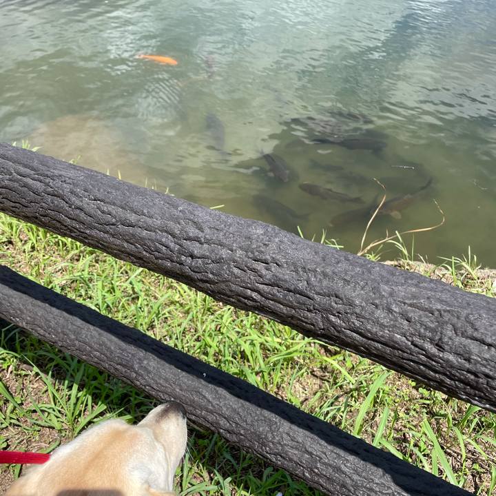 E415c75f d715 427b 9d3e 08b08add6652 1629362710875