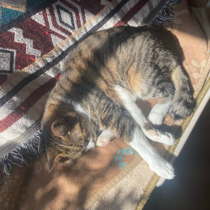 E415ebd7 773b 46d6 8136 1a83d9d447cf 1737861158162