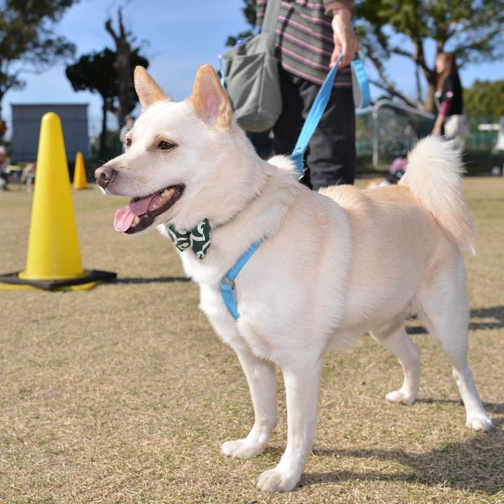 E4163510 90db 478b 991c 21ee8c358ea8 1542557310207