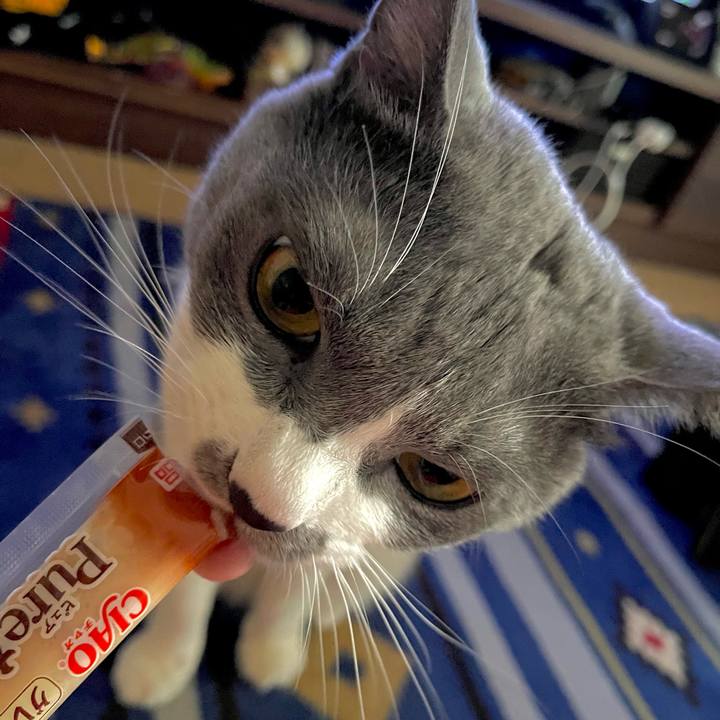 E41637e5 0350 43f4 8eb3 f225f3666abf 1663832676226