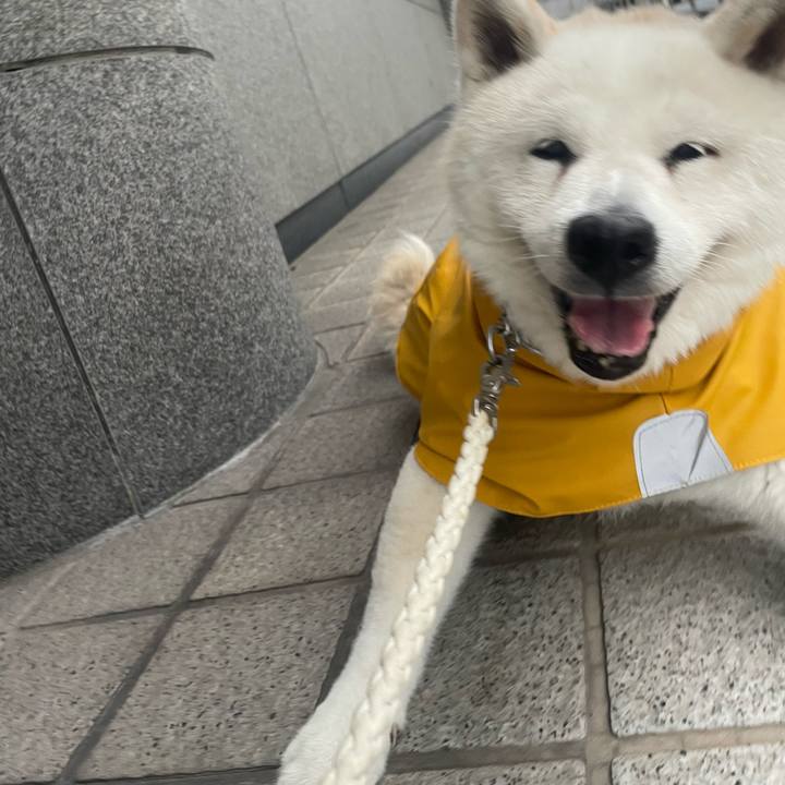 E416663a 954f 4e1c a577 b9500b34cd51 1757566318190