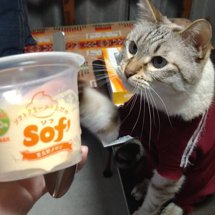 E4167ab8 fc06 4a3c 96ce 86207f35ec99 1688642504811